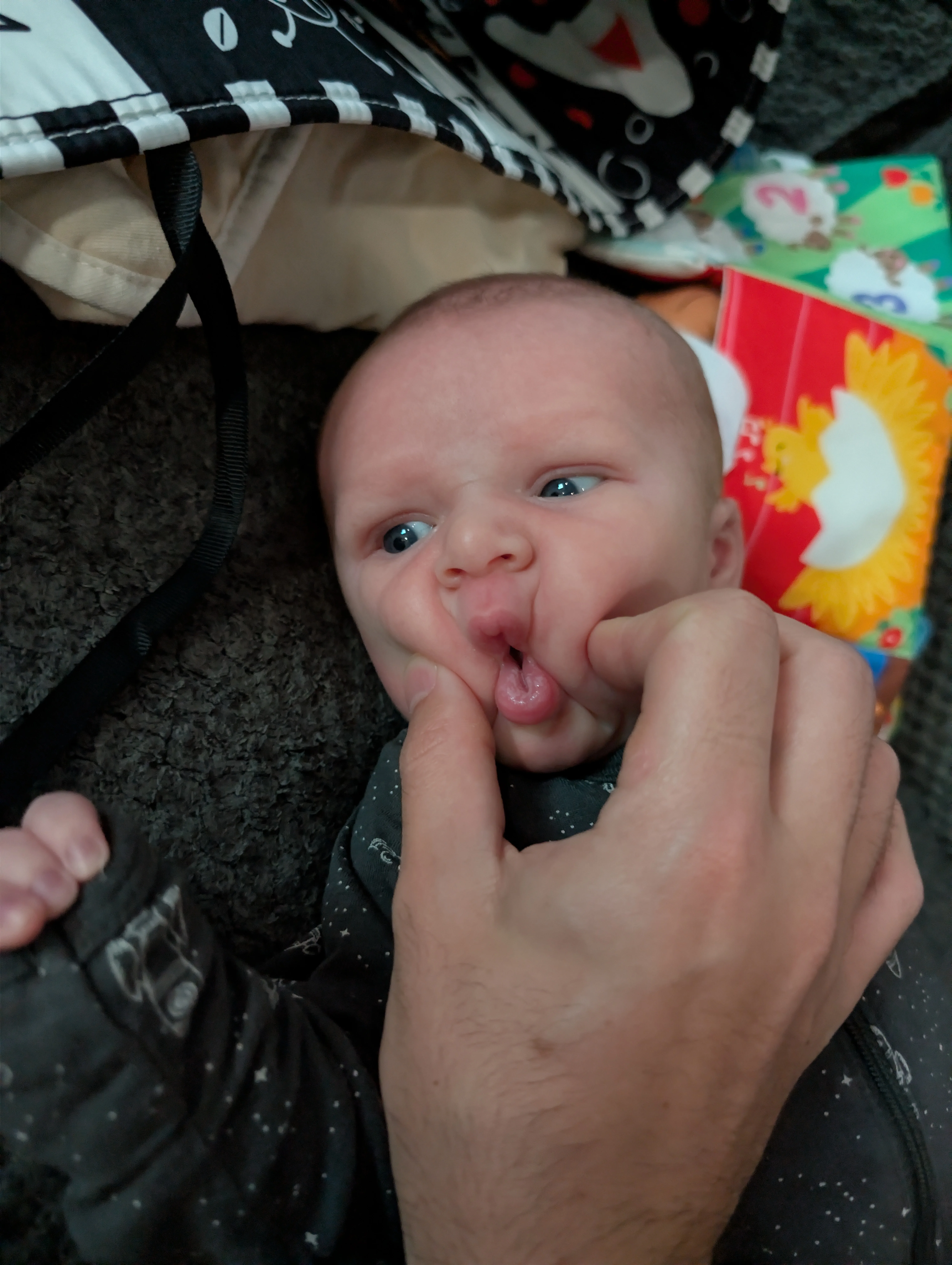 Close-up of Nolan